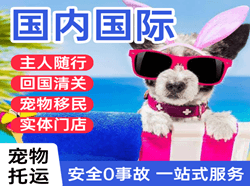 阿拉尔塔里木航空运输国际宠物托运 【国